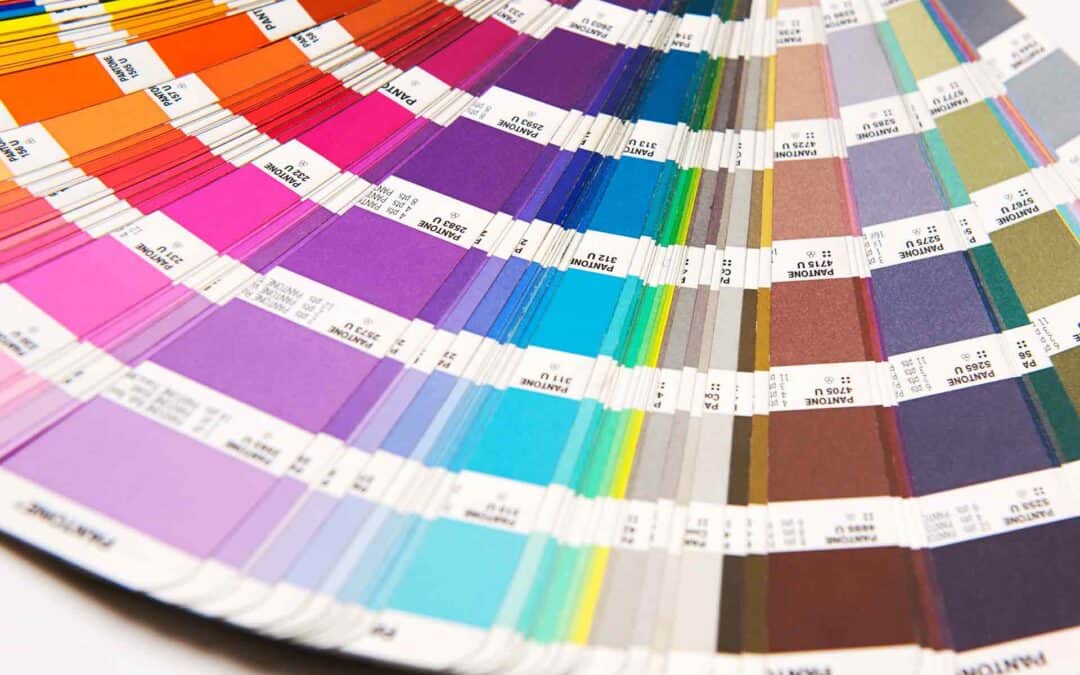 Hoe kies je de kleuren voor jouw logo en branding?